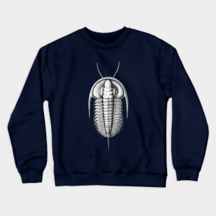 Redlichia, Cambrian Trilobite from Kangaroo Island Crewneck Sweatshirt